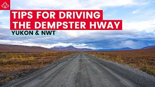 Canada Road Trip to the ARCTIC Seven Tips For Driving the DEMPSTER HIGHWAY [upl. by Yentnuoc]