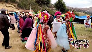 Roncadoras  Fiesta patronal de SANTA CRUZ de pariashpampa 2024 [upl. by Kiehl]