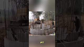 Workers Cheer During Well Construction as Concrete Sinksshortsfeed shortsviral shortsyoutube [upl. by Ahsimot]