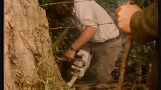 Three Counties Minkhounds Maisemore September 11th 1982 [upl. by Eboh624]