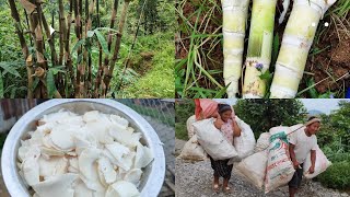 तामा खोज्न गाको सबै बास फुलेछ😒बलवान जेठू ४ बोरा एक जनाले बोक्ने😂villagelife bimlaale nature [upl. by Wallis]