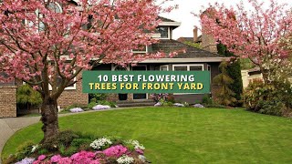 10 Best Flowering Trees for Front Yard 🌳🌸🏠 [upl. by Acinahs]