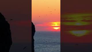 quot Sunset quot Il tramonto più bello che abbia mai visto  4K DJI  Sardegna World [upl. by Bust]