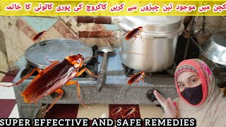 Safe And Effective Way To Kill CockroachesRemedies To Get Rid Of Cockroachestarabkhanvlogs [upl. by Ahselet]