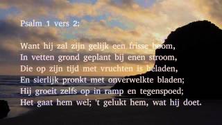 Psalm 1 vers 1 2 en 4  Welzalig hij die in der bozen raad [upl. by Iralam]