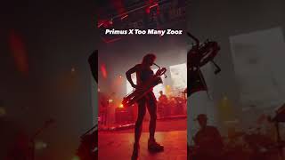 ⚠️Too Many Zooz 🦑sitting in with Primus🐒 in Columbus [upl. by Arval]