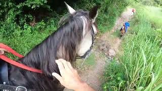 Cabalgando en Villalba PR con Hacienda La Tardanza elcaballoyelcaballista [upl. by Ancelin717]