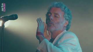 Baxter Dury  Im Not Your Dog Subtitulado [upl. by Thgiled]