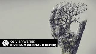 Olivier Weiter  Diversum Seismal D Remix  Steyoyoke [upl. by Vange891]