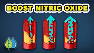 The BEST Foods NOBODY Uses to Boost Nitric Oxide [upl. by Sumetra638]