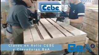 CEBE  Clavadoras de Tambor y Clavos en Rollo Fabricación de Pallets [upl. by Lednyc460]