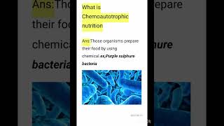 What is Chemoautotrophic nutrition class 10 bio chapter 1 [upl. by Gnouh]