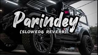 Parindey Yaar Slowed Reverb Song haryanvi Lofi SongSlowed [upl. by Hylan623]