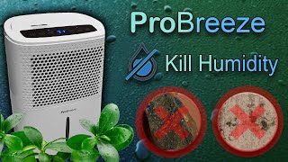 Pro Breeze Dehumidifier  Does it Really Help How to get rid of the damp and unwanted moisture [upl. by Arvy]