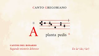 «A planta pedis» Ant del 2º Misterio Doloroso – Cantos del Rosario – Canto Gregoriano [upl. by Yllus]