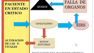 Clase 76 Fisiopatologia de las emergencias [upl. by Maud806]