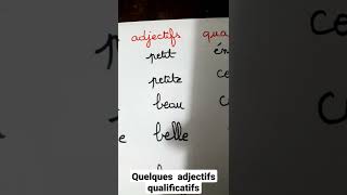 les adjectifs qualificatifs [upl. by Gavin]