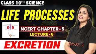 Excretion in Human Beings Class 10  Excretory System  Life Processes  Lec 6  Class 10 Science [upl. by Orsola]