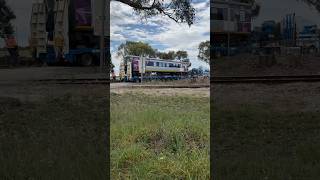 TRAINS AM22 Victoria ‘H’ passenger sets arrived SteamRangers Goolwa Depot 161024 Airconditioned [upl. by Wilfreda]