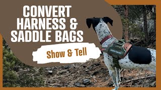 EzyDog Convert Harness Show amp Tell [upl. by Larianna]