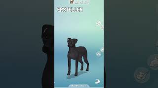 Wie bekommt man ein Haustier in Sims 4 Hunde und Katzen sims4deutsch sims4shorts sims4 [upl. by Fachanan447]