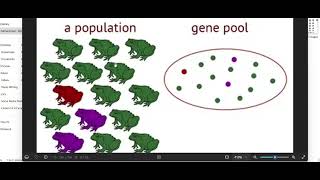 Chap22 Start till Law of Segregation [upl. by Adnerb]