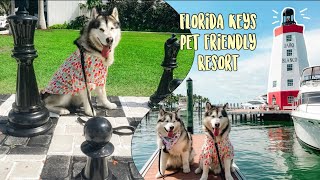 Faro Blanco Resort Marathon Florida Keys  Pet friendly resort [upl. by Sesilu]