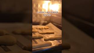 Light amp Airy EggFree Savoiardi  Easy 4Ingredient Ingredients Ladyfinger Biscuits No Egg No Milk [upl. by Hein]