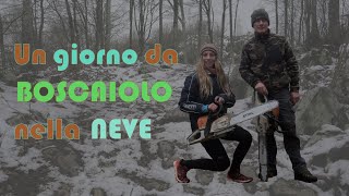 Un GIORNO da BOSCAIOLO nella NEVE [upl. by Repip535]