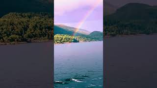 Seen sailing a fjord in Norway🌈🌈🌈 [upl. by Zadoc]