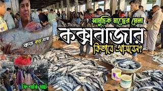 Fishery Ghat Coxs Bazar  ফিশারি ঘাট কক্সবাজার [upl. by Canter]