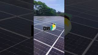 PROYECTO SOLAR FOTOVOLTAICO TRITURADORA EXPLOMIN PANELES SOLARES [upl. by Eiramave95]