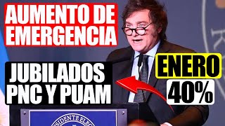 💸Milei en Enero❗ “Aumento de Emergencia” para Jubilados PNC y PUAM y Cambios en ANSES 2024 [upl. by Ahsii]