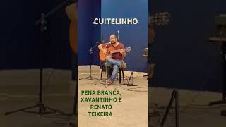 CUITELINHO  PENA BRANCA XAVANTINHO E RENATO TEIXEIRA [upl. by Harty404]