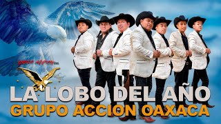 La Lobo Del Año  Grupo Acción Oaxaca [upl. by Bertold]