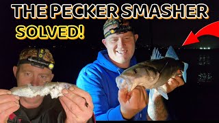 Bass fishing UK  I FOUND OUT WHAT SMASHED THE BAIT fishingvideos fishing [upl. by Newell]