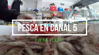 Hermosa pesca en canal 5 por ruta 11 [upl. by Leahcim]