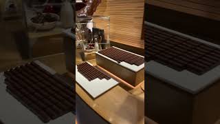 Chocolates for tasting  Cailler chocolate factory Switzerland [upl. by Ttereve312]