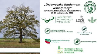 Drzewo jako fundament współpracy [upl. by Og]