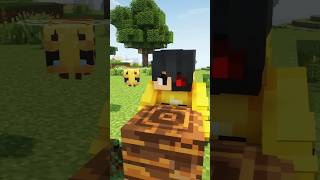 Helping the bees In Minecraft [upl. by Netsirc99]