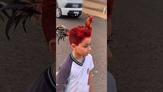 Man transforms into a real Rooster 🐓 in AGT Americas got talent 😱😂 Duo SchumacherAGTmagic [upl. by Eduj]