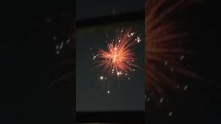 fireworks 🎇🎇diwali 🕯🕯kalipuja 🙏🕉🔔🚩shortstintinsvlog942 [upl. by Nywled501]