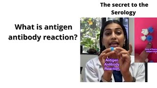 What is Serological or AntigenAntibody Reaction [upl. by Neukam75]