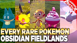 Every Rare Pokemon in Obsidian Fieldlands  Pokemon Legends Arceus [upl. by Adrahc]