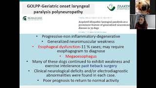 Laryngeal paralysis paresis and collapse in Dogs Diagnostic approach and endoscopic findings [upl. by Neve550]