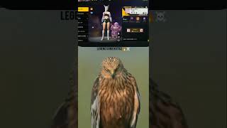 Legend some notice 💓 angel ff 😁 freefire💕🥀💓 freefirefunny garenafreefire [upl. by Ennalyrehc]