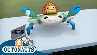 Octonauts  Helping Ones In Need  Cartoons for Kids  Underwater Sea Education [upl. by Annaes]