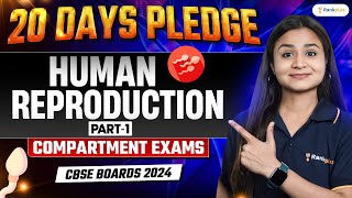 CBSE Compartment Exam 2024  Human Reproduction  Part  1  Class 12 Biology  Krushi Maam [upl. by Trix479]