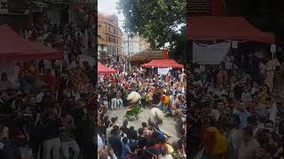 Gai jatra festival in Kathmandu ta bashantapur darbar square [upl. by Notsirhc]