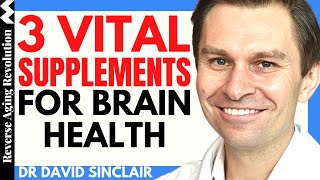 3 VITAL SUPPLEMENTS For Our BRAIN HEALTH  Dr David Sinclair Interview Clips [upl. by Burton]